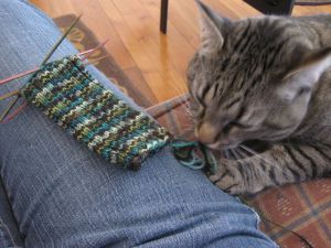 Cat noms yarn. Yum.