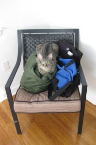 Flight Gear Vera Flight Gear Vera