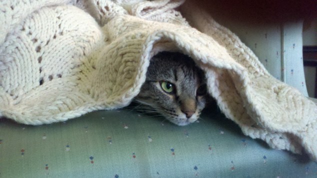 Val Blanket Val Blanket