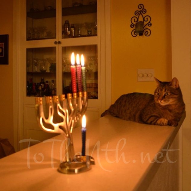 Happy Chanuk-cat! (Kitty gazes at the menorah on the third night of Chanukah.)