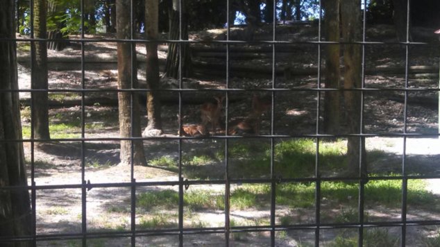 IMG_20130813_112734_652.jpg image