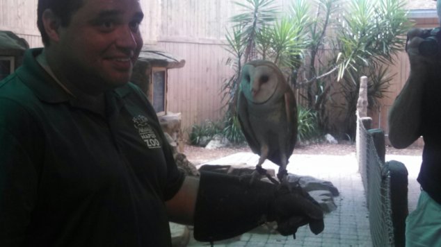 IMG_20130813_113624_491.jpg image