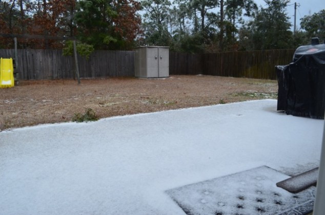 January 2014: Pensacola Blizzard