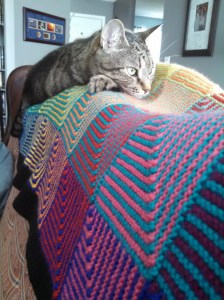 Stripy Cat, Stripy Blanket